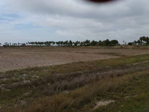 14882385_1242386449168948_4734827244951035908_o